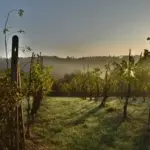 Sådan får du den bedste campingferie i Toscana -  5 gode råd